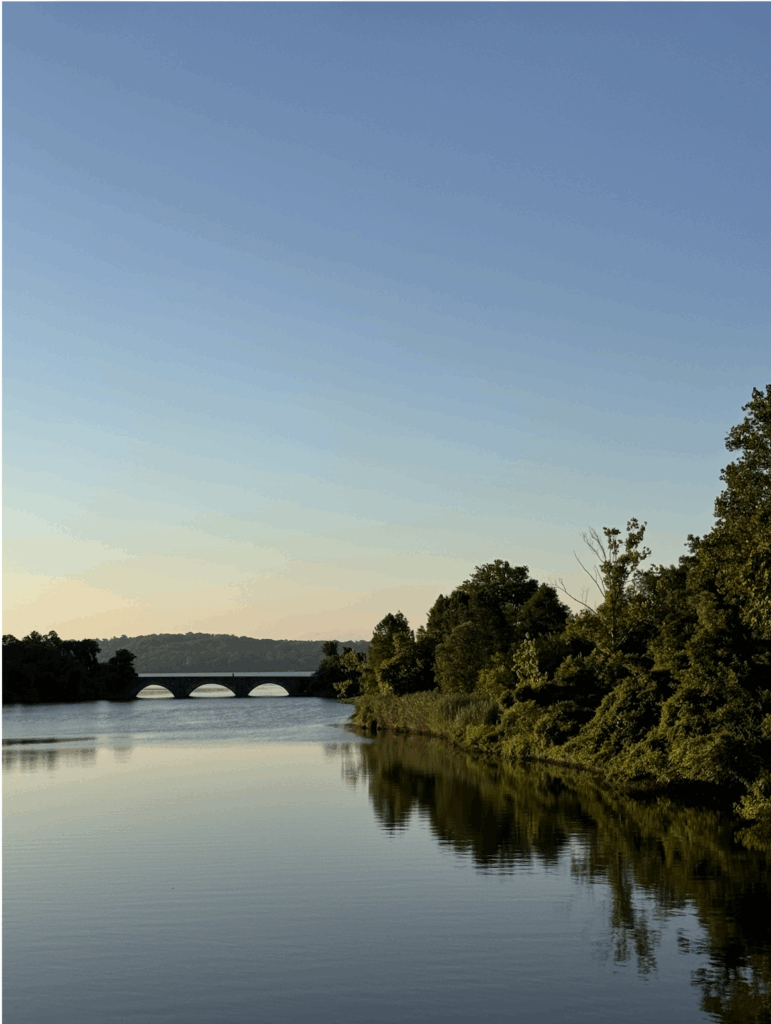 Still water reflecting trees and a stone bridge in Alexandria, Virginia at sunrise.